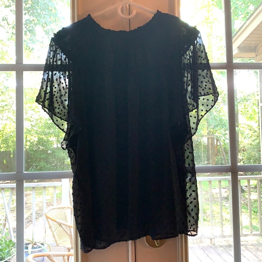 J Crew sheer Swiss dot top
